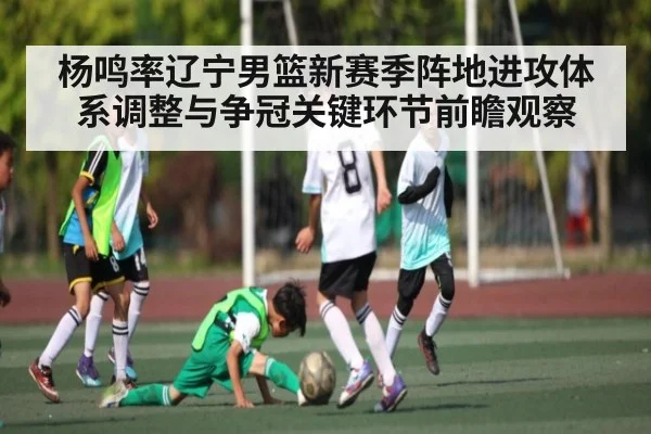 杨鸣率辽宁男篮新赛季阵地进攻体系调整与争冠关键环节前瞻观察